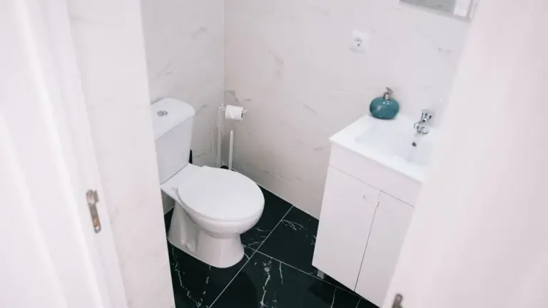 toilettes lavantes salle de bain